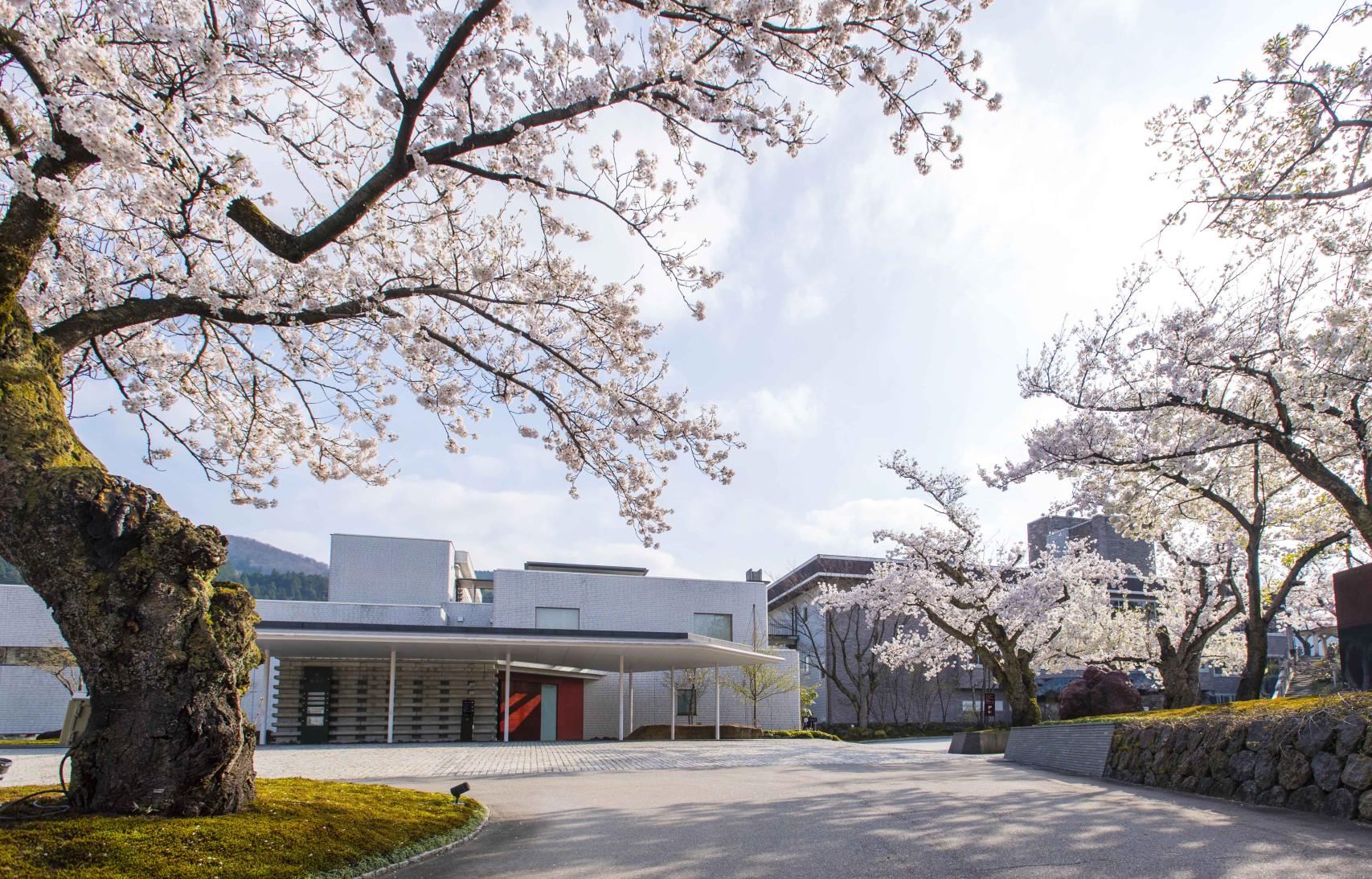 10時にチェックイン！期待に胸が高鳴ります-1