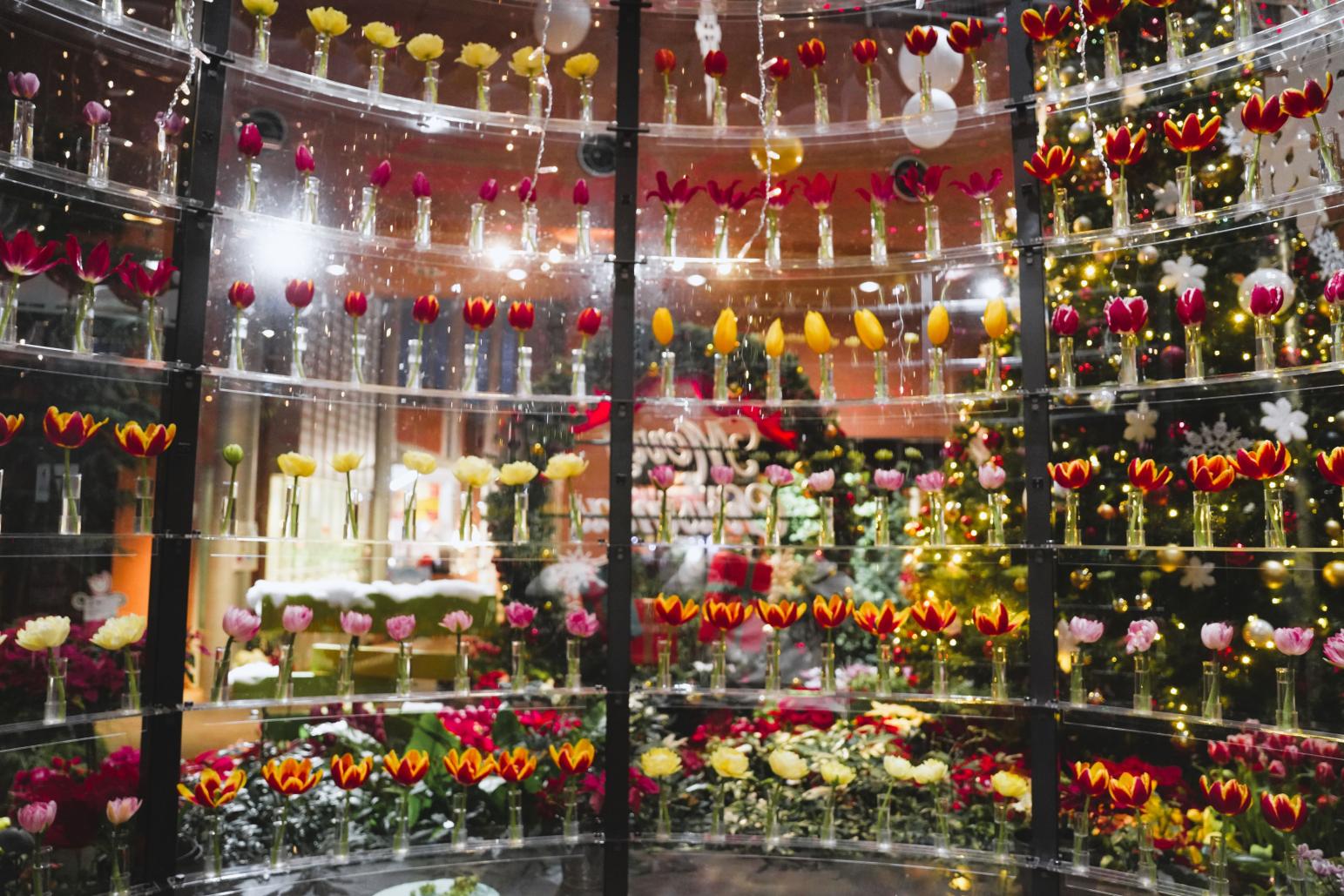 【立ち寄りスポット】砺波チューリップ公園-2