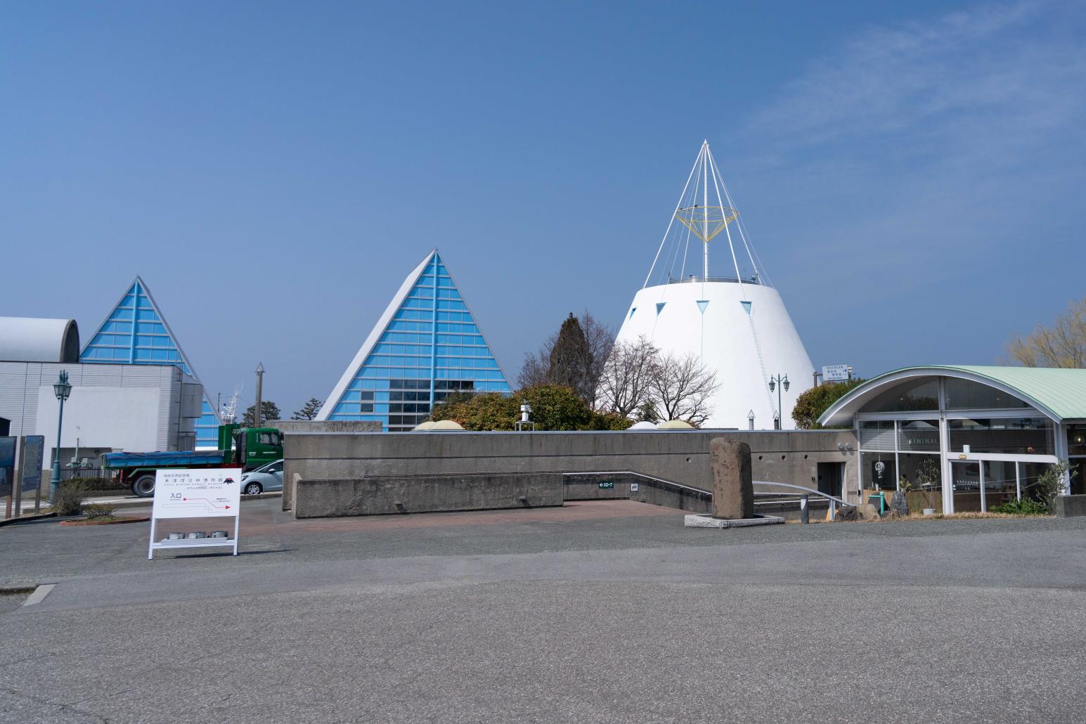 蜃気楼情報も充実『魚津埋没林博物館』-1