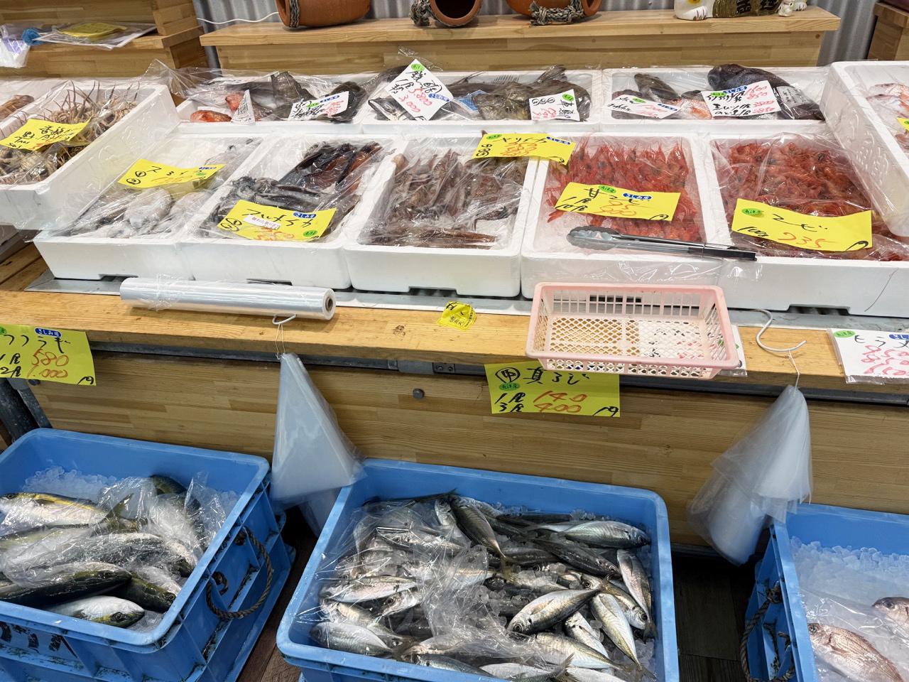 魚の種類の豊富さと活気に圧倒される！スーパー生鮮市場ジャンプ（黒部市）-1