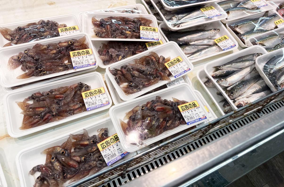 魚の種類の豊富さと活気に圧倒される！スーパー生鮮市場ジャンプ（黒部市）-3