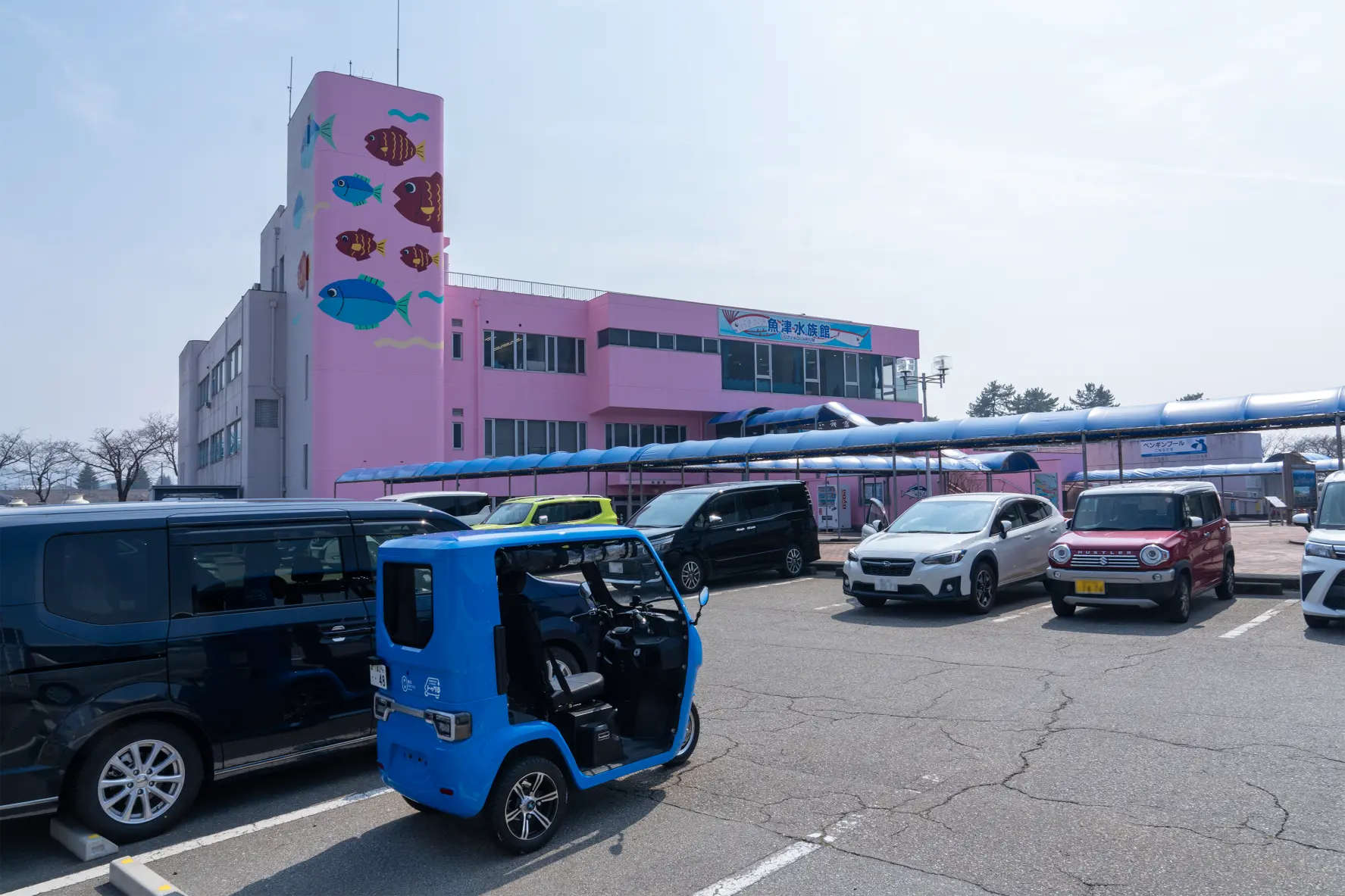 日本最古『魚津水族館』-0