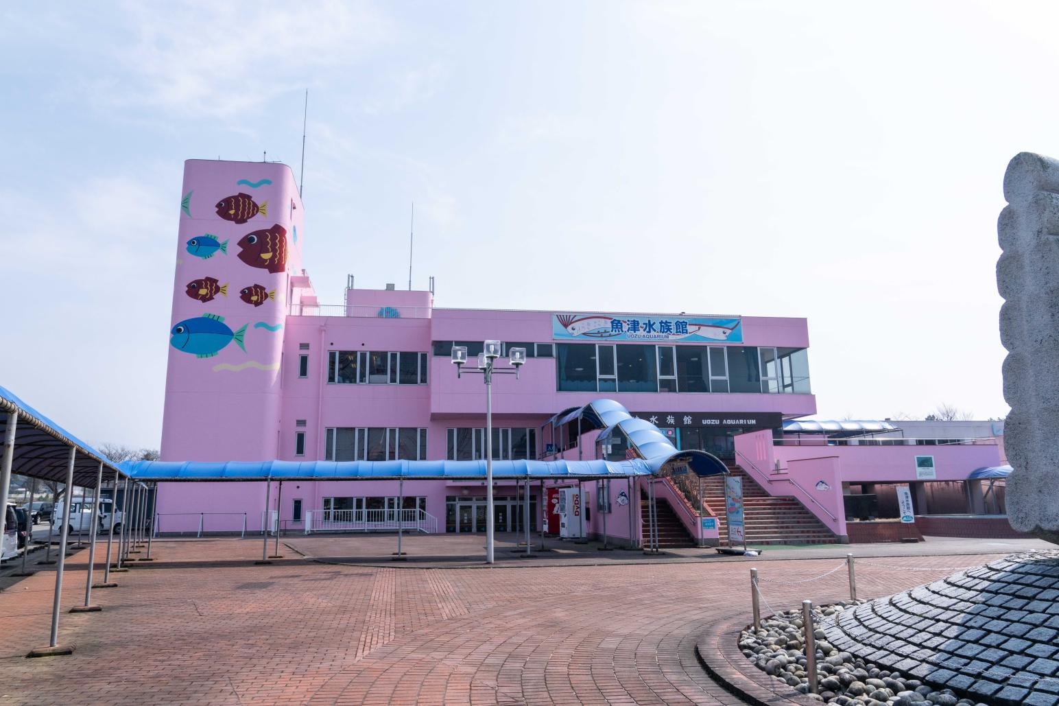 日本最古『魚津水族館』-1