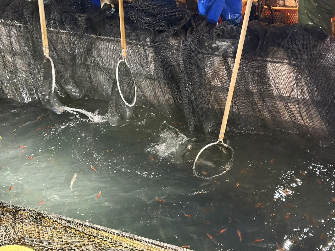 静かなエンジン音のなかで進む、海の仕事-4