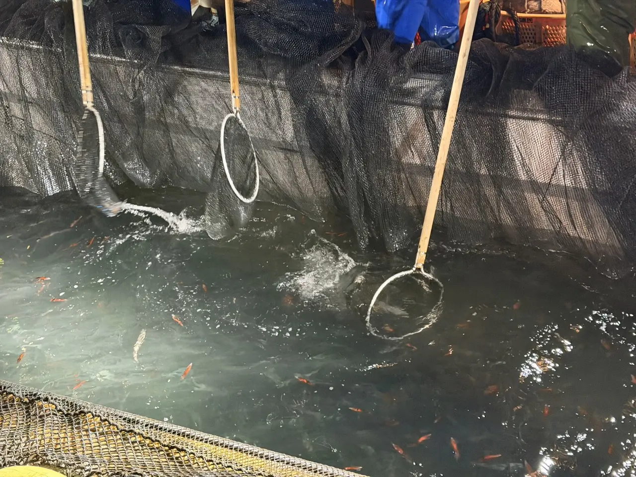 静かなエンジン音のなかで進む、海の仕事-4