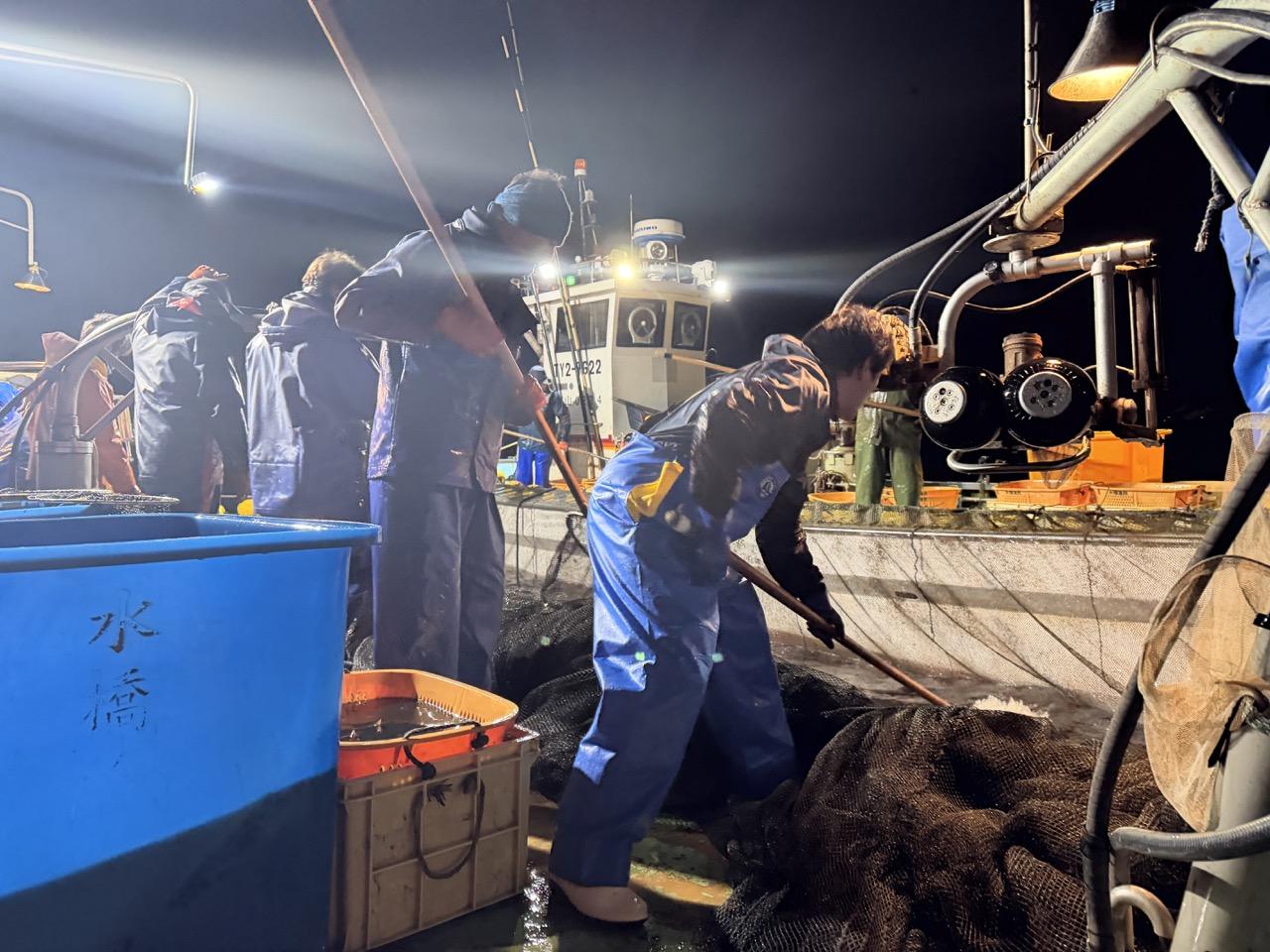 小さなホタルイカを傷つけないために-1