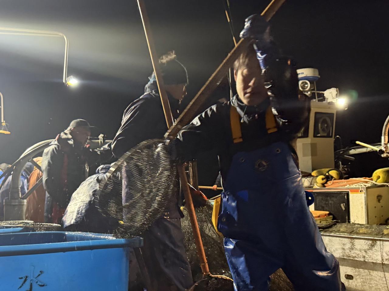 小さなホタルイカを傷つけないために-0