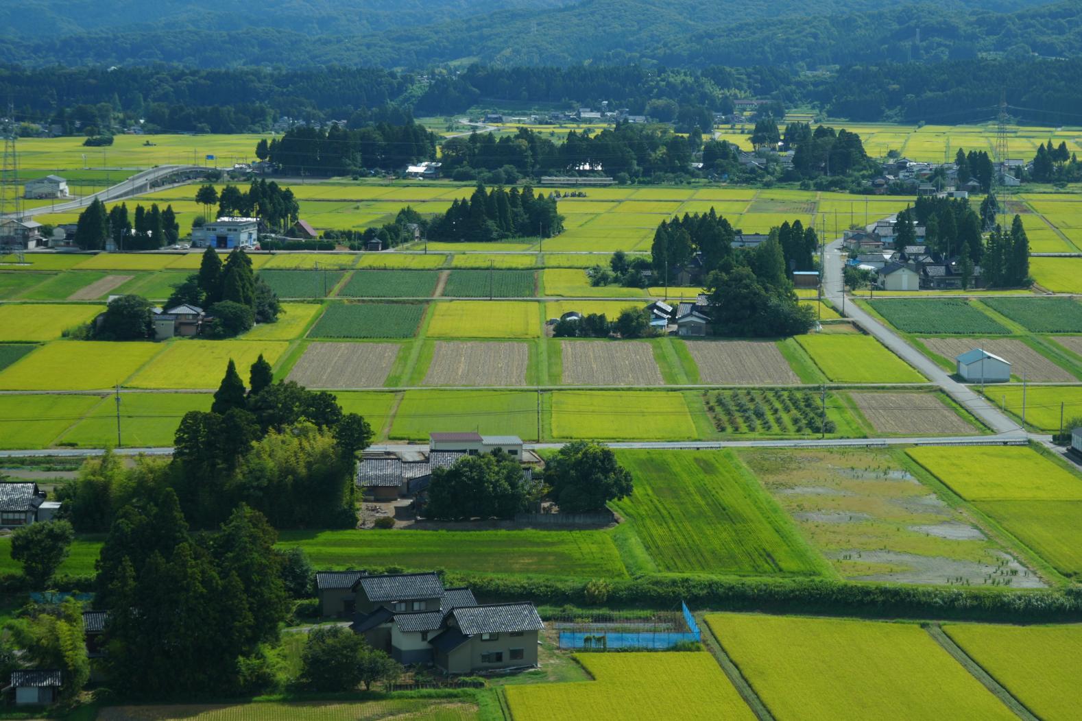 「散居村（さんきょそん）」とは？-0