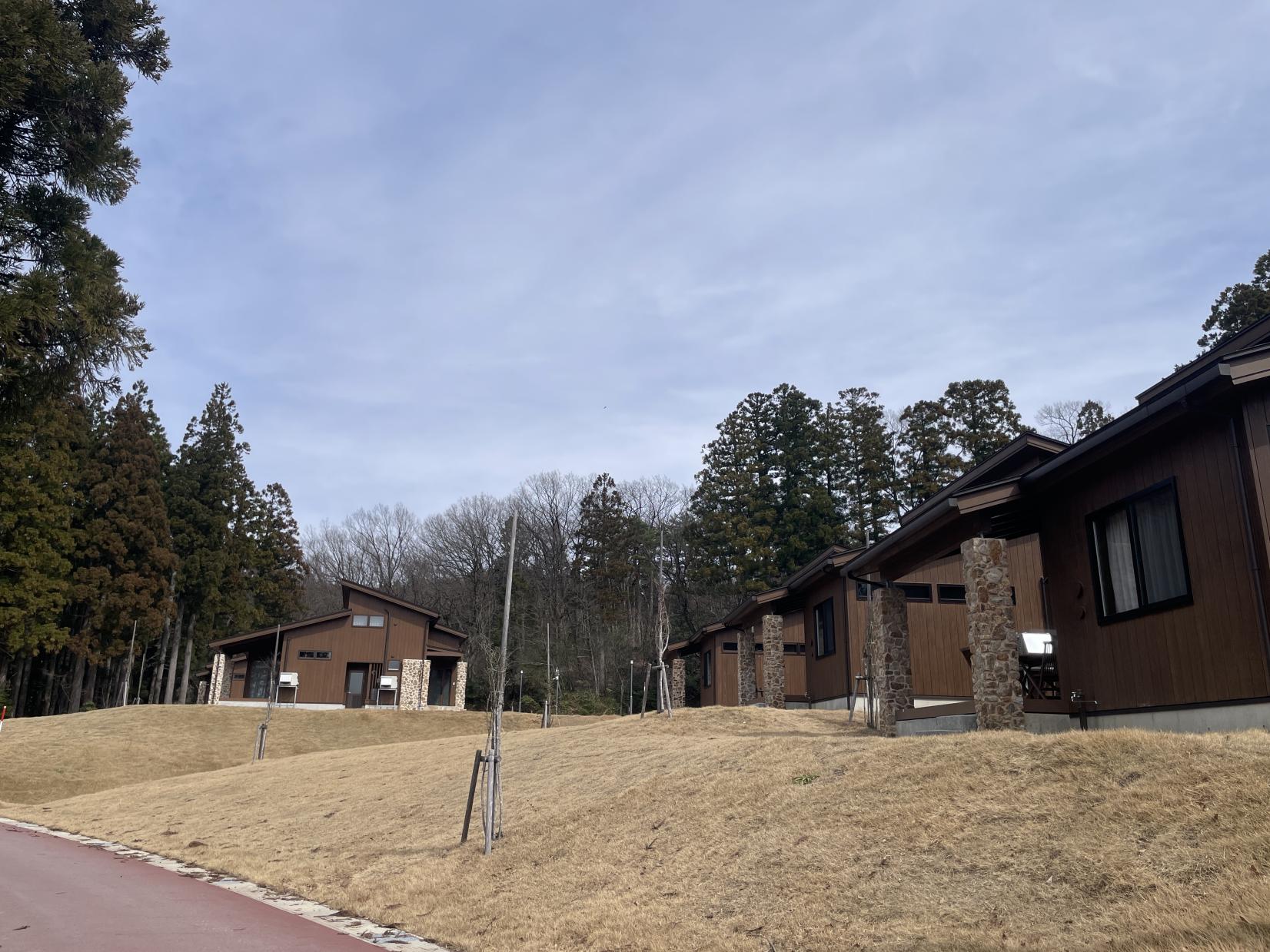 ロッジやコテージも素敵！-0