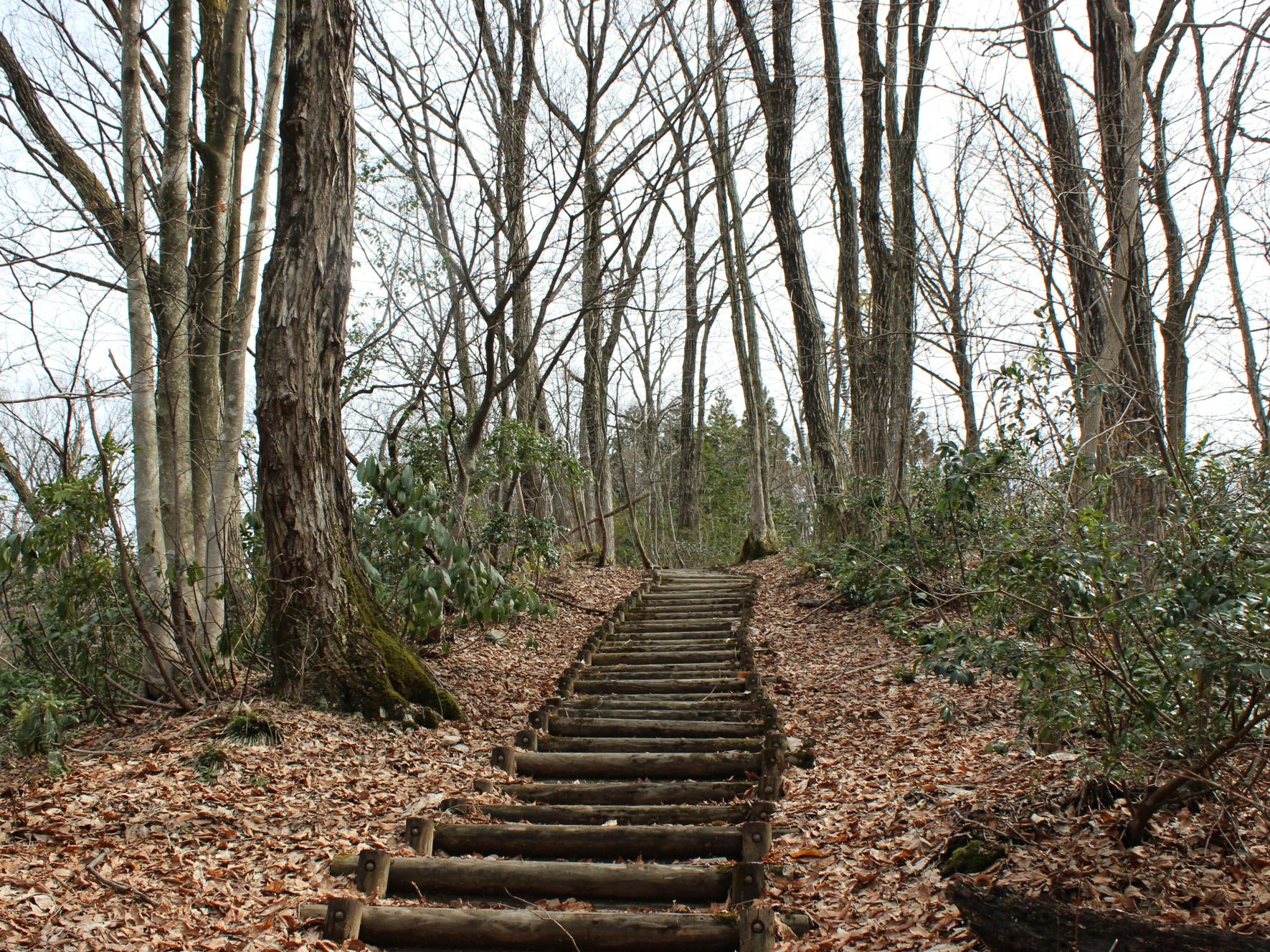周囲の散策や自転車も楽しめる！-0