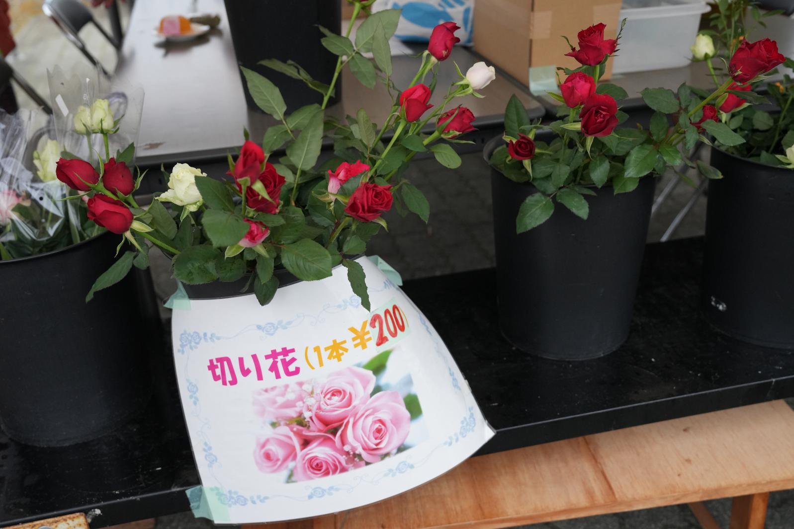 お土産に「バラ」の花も！-2