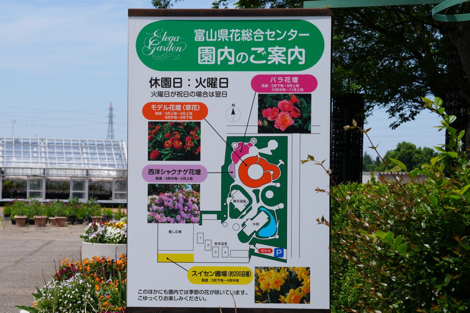 スポット④砺波市 富山県花総合センター（エレガガーデン）【2026年度で閉園】-1