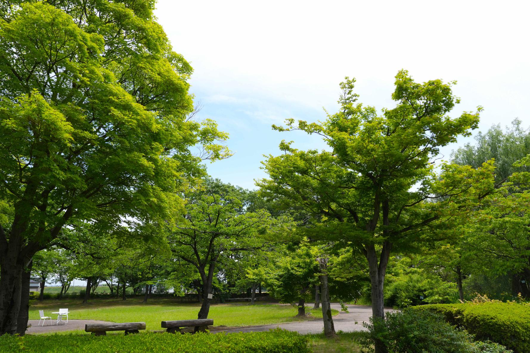 スポット④砺波市 富山県花総合センター（エレガガーデン）【2026年度で閉園】-0