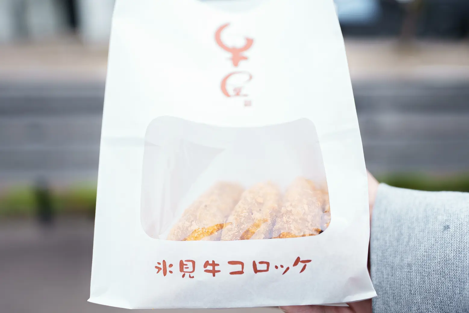 氷見牛コロッケ-0