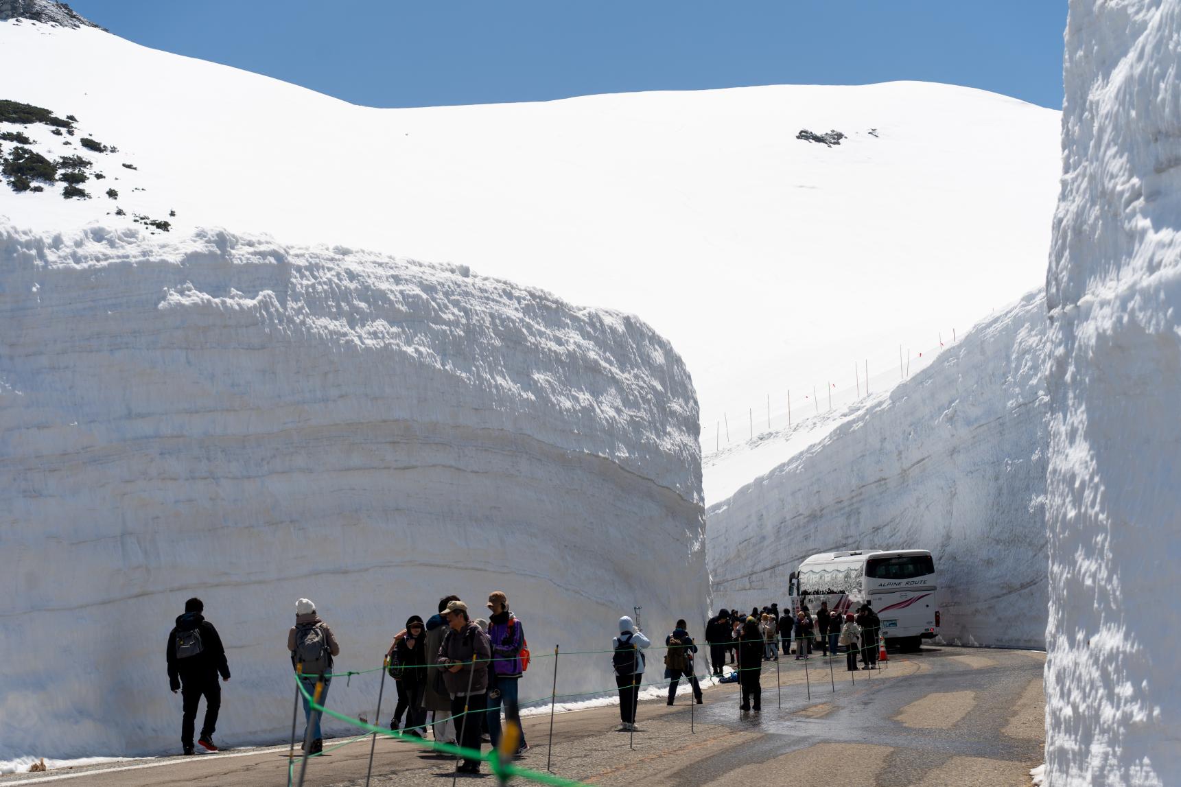 2026年最新】車なしで行ける「雪の大谷」レポ！行き方・料金・日帰り
