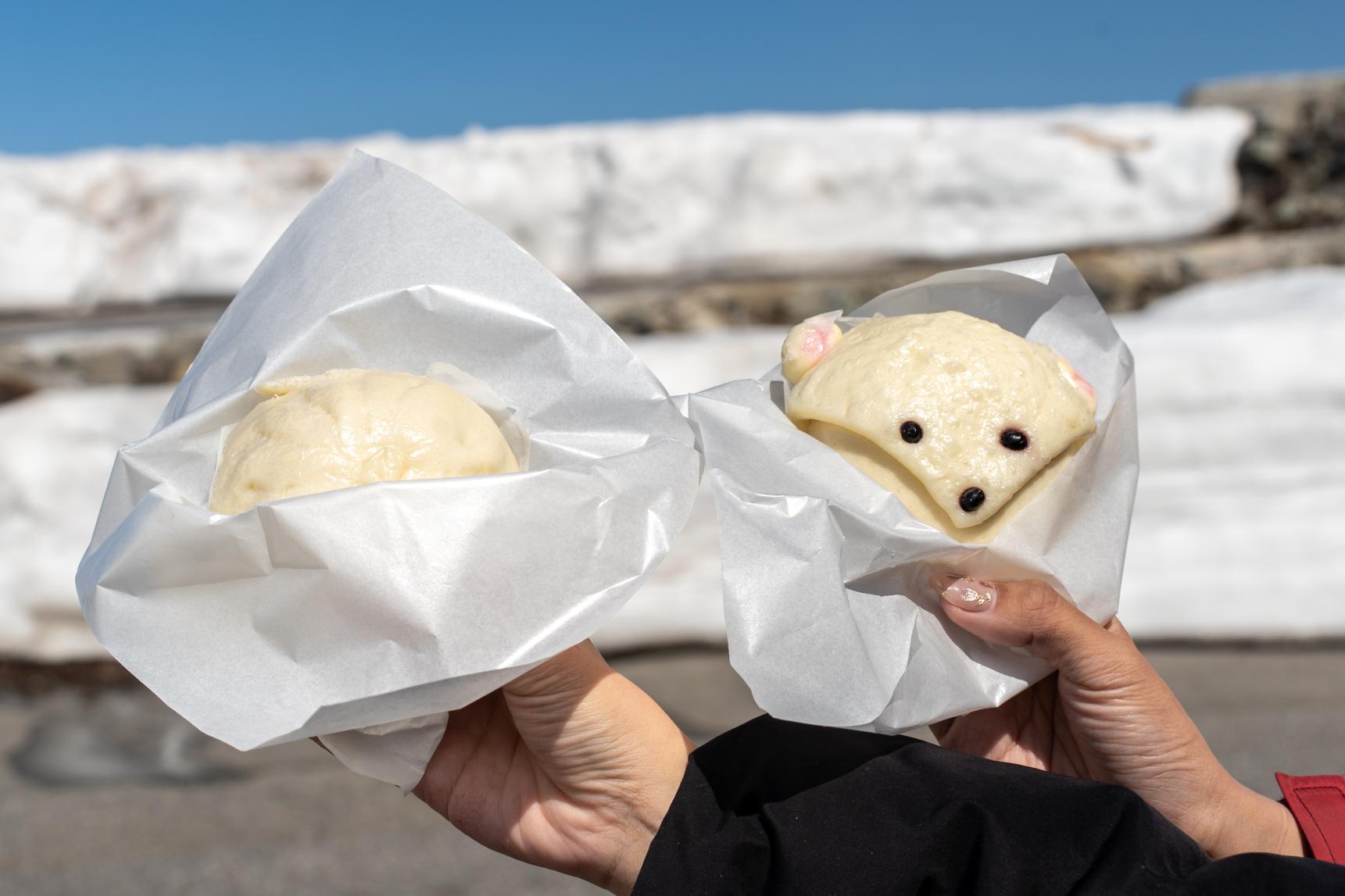 【保存版】富山市内からの「日帰り」モデルコース-2