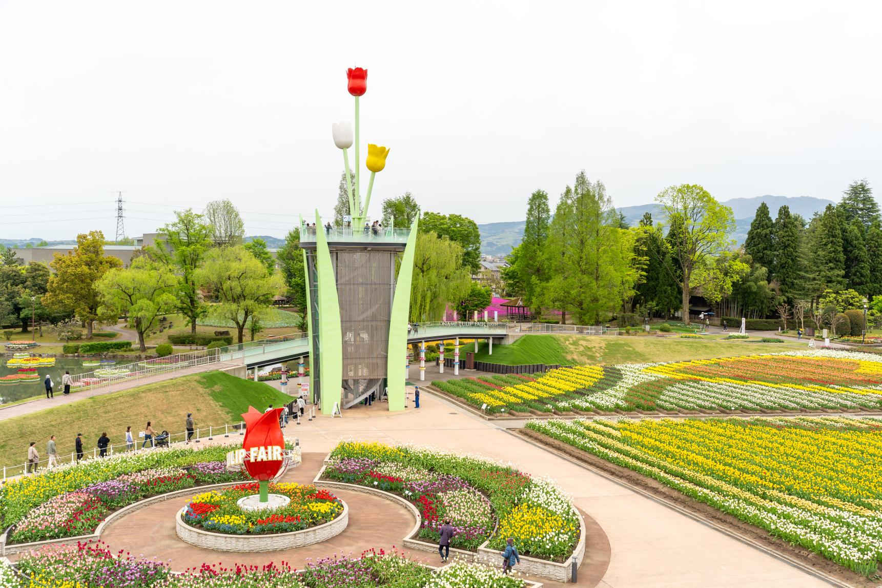穴場スポット「チューリップパノラマテラス」からの絶景ビュー-0