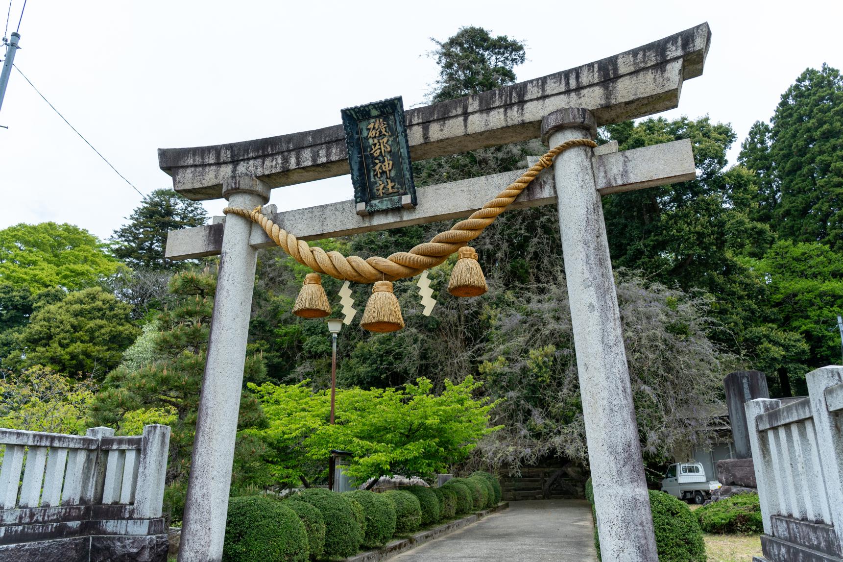 GWに行きたい！自然が創り出した藤の絶景-1