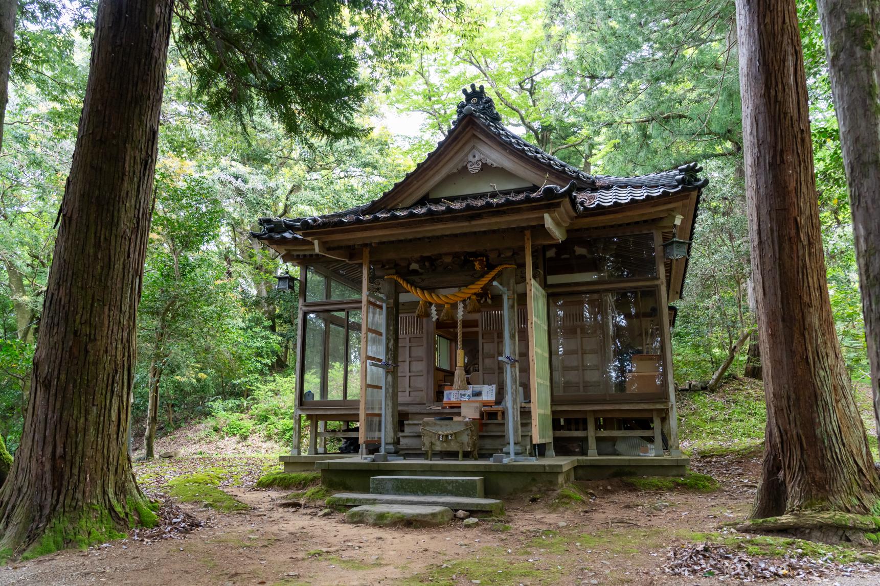 藤の花以外にも見どころがたくさん！-1