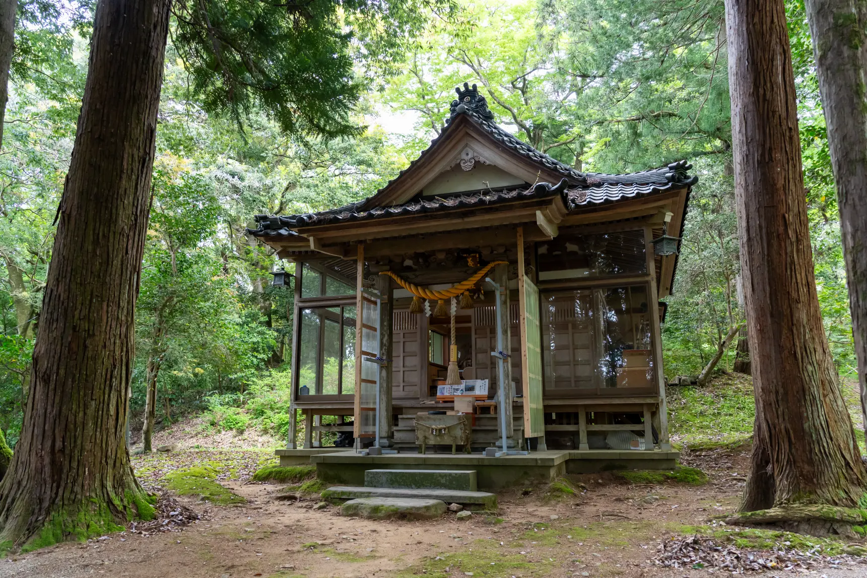 藤の花以外にも見どころがたくさん！-1