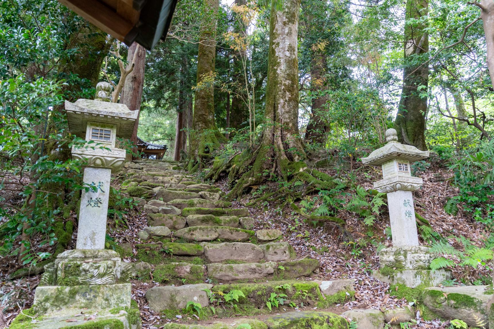 藤の花以外にも見どころがたくさん！-0