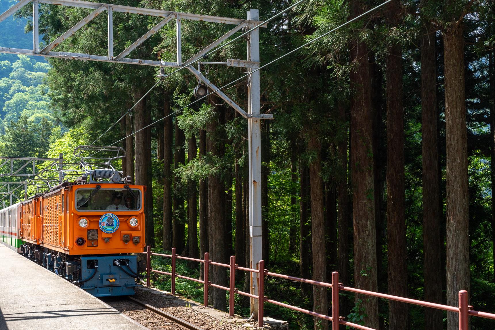 新緑のトンネルを駆け抜ける！初夏の黒部峡谷トロッコ電車-0