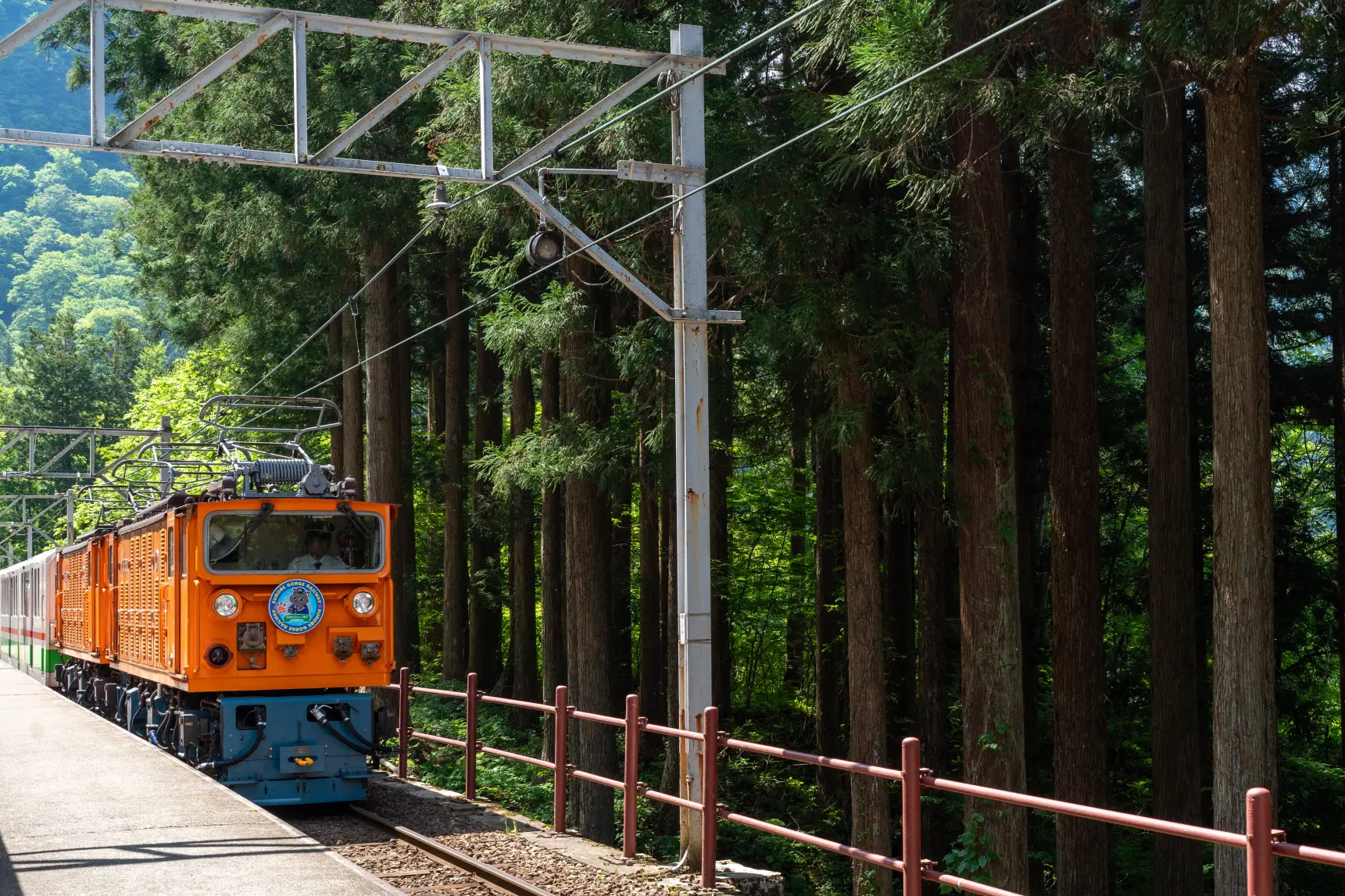 新緑のトンネルを駆け抜ける！初夏の黒部峡谷トロッコ電車-0