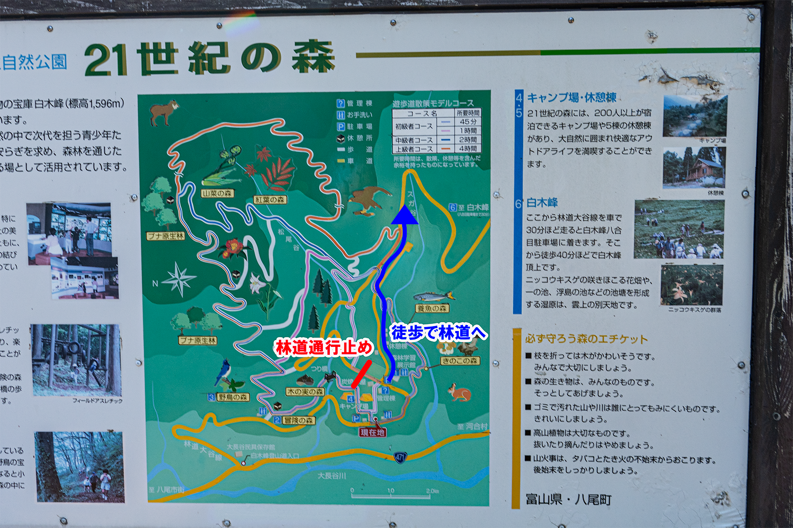 登山① 富山県側：21世紀の森キャンプ場ルート-0
