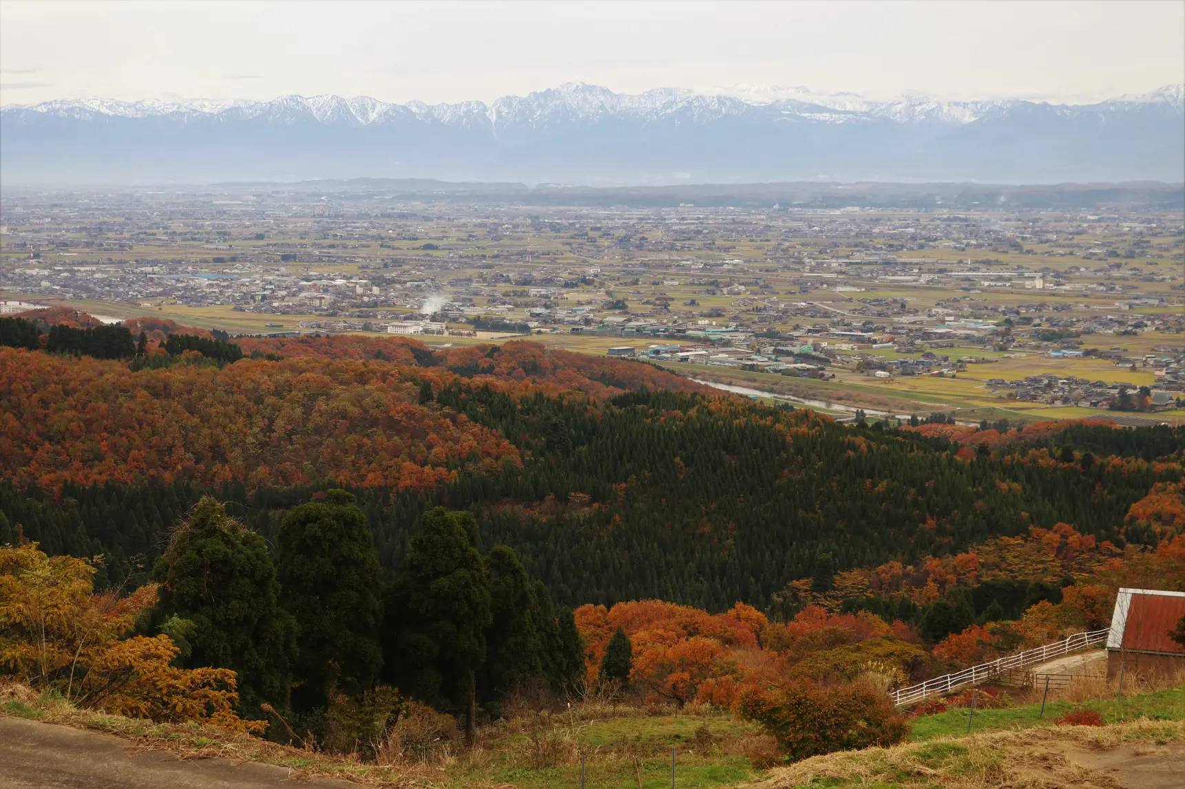 「クロスランドおやべ」と「稲葉山牧野」を家族で楽しむ６つのポイント！-1