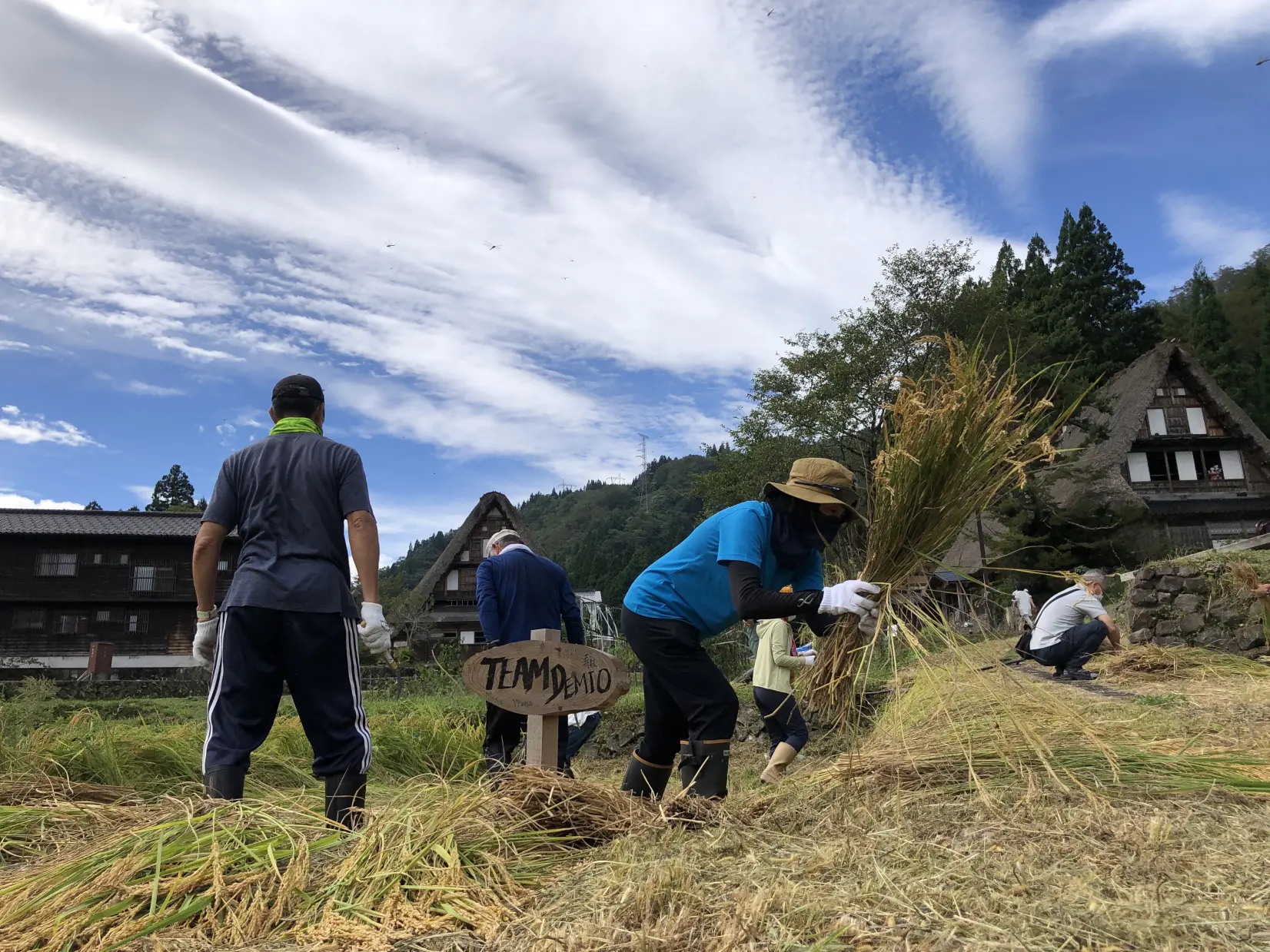 世界遺産で農業体験！仲間と家族と楽しめる！大満足間違いなしのオーナー制度をご紹介します！-4