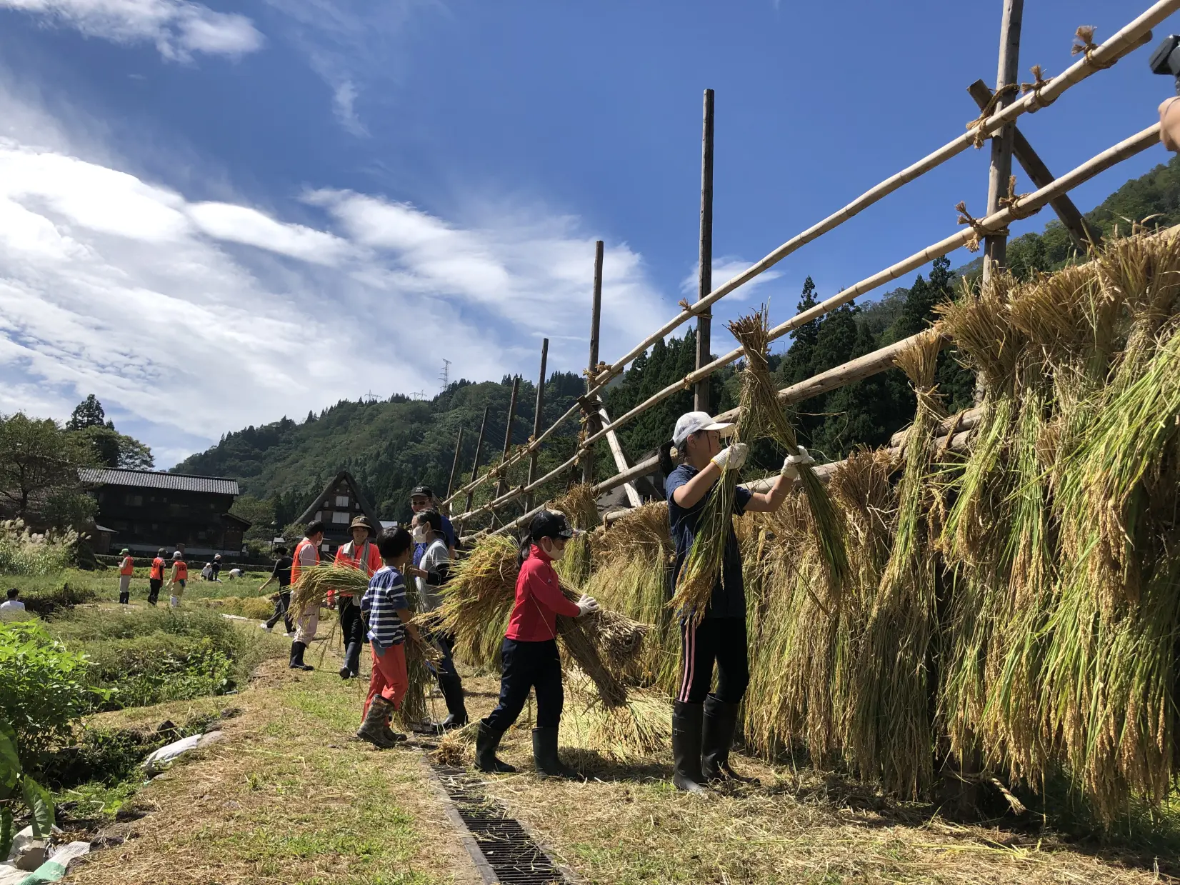 世界遺産で農業体験！仲間と家族と楽しめる！大満足間違いなしのオーナー制度をご紹介します！-5
