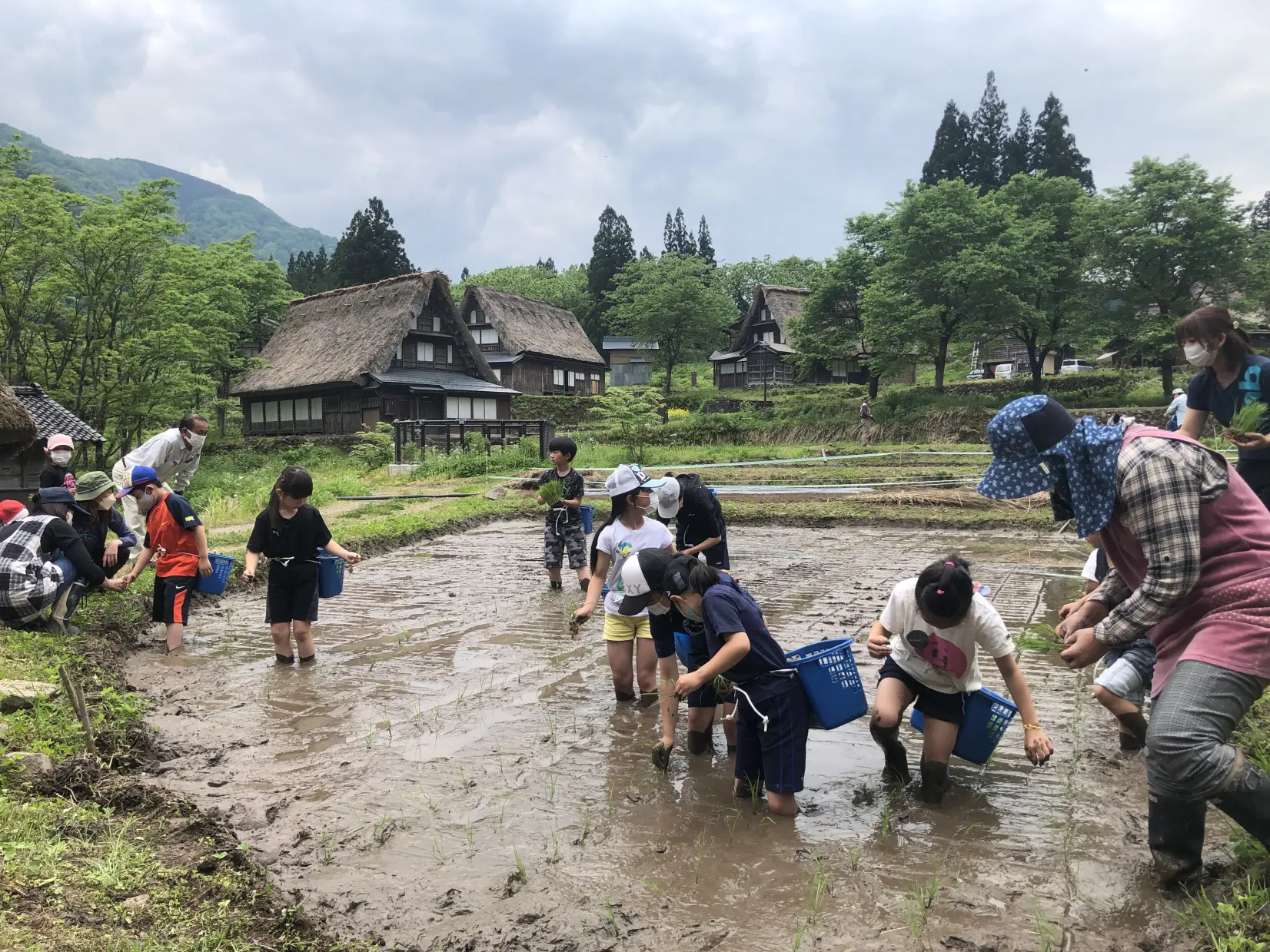 世界遺産で農業体験！仲間と家族と楽しめる！大満足間違いなしのオーナー制度をご紹介します！-1