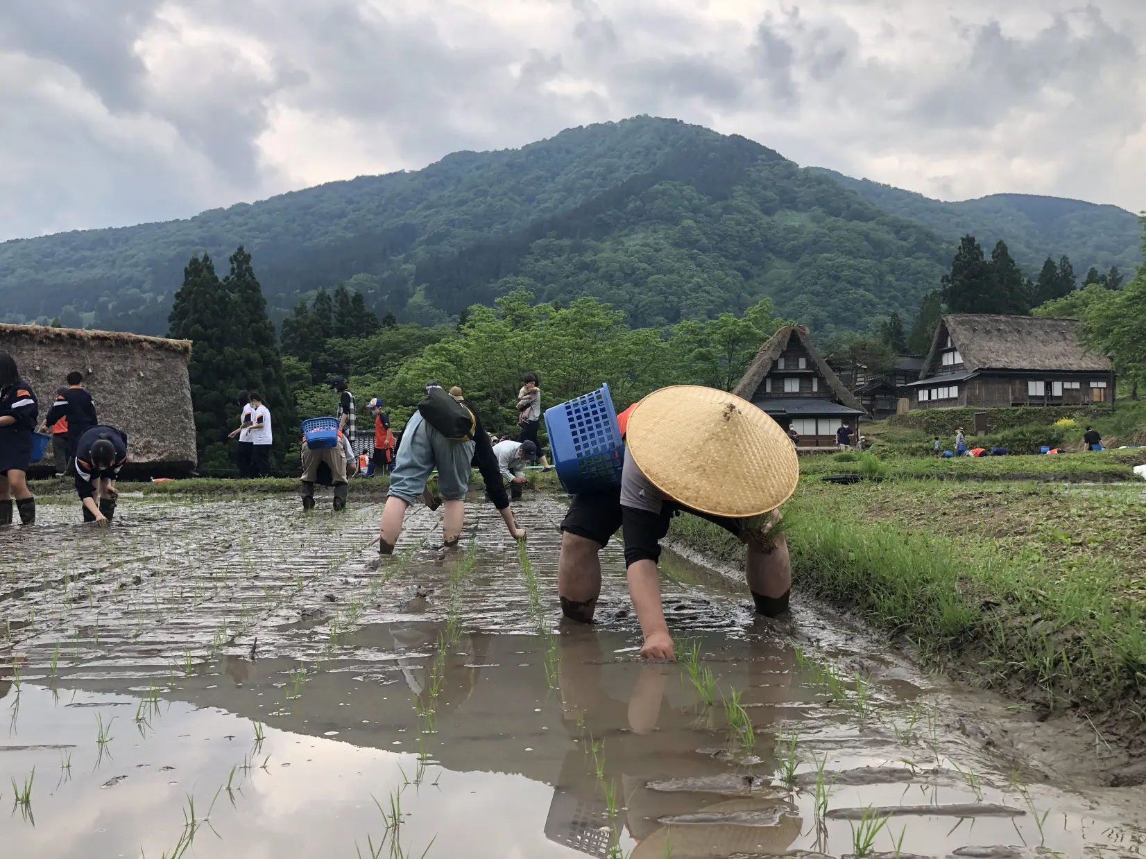 世界遺産で農業体験！仲間と家族と楽しめる！大満足間違いなしのオーナー制度をご紹介します！-2