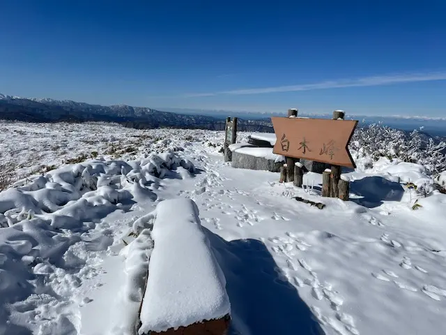 白木峰(1596m)山頂です
