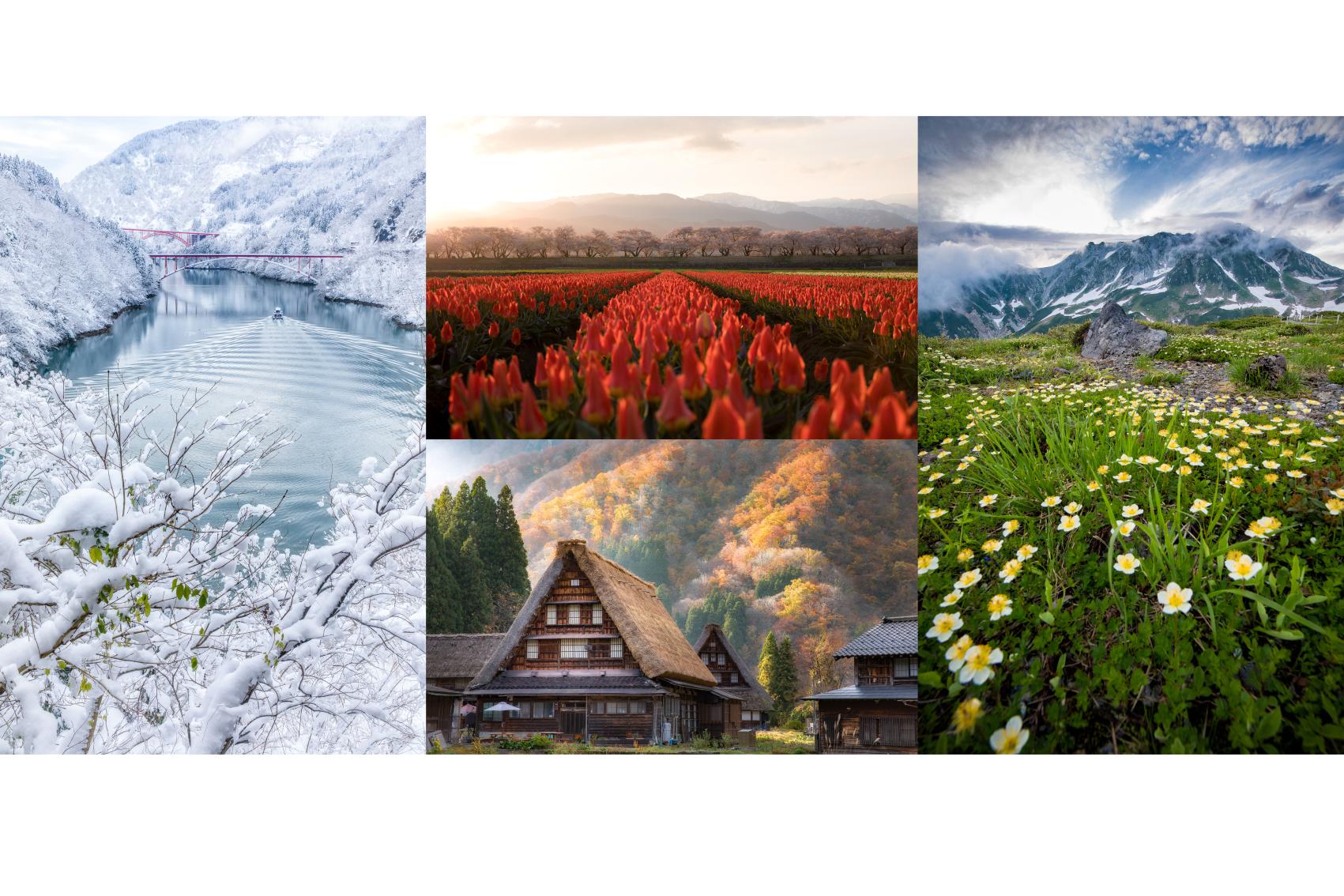 【富山の絶景】富山の美しい四季の見どころ