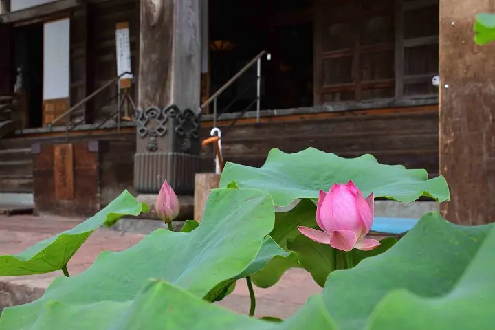 善徳寺「本堂」