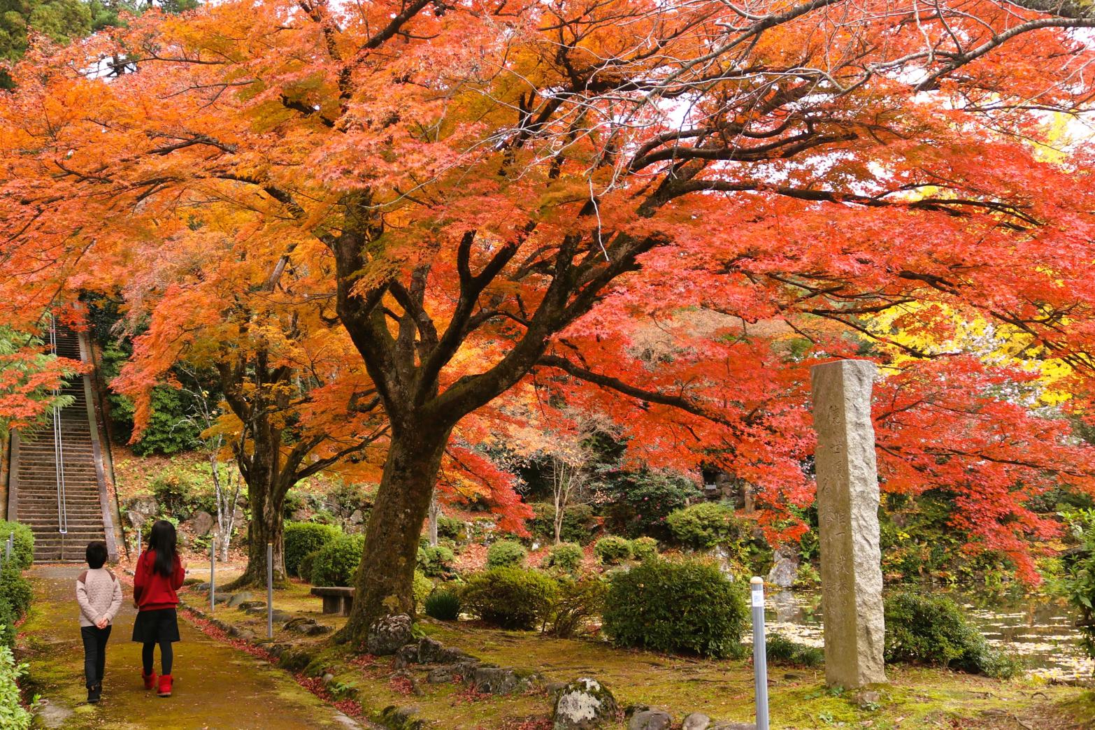 富山市の紅葉スポット「寺家公園」と、絶景の眺め「猿倉山」を紹介します！