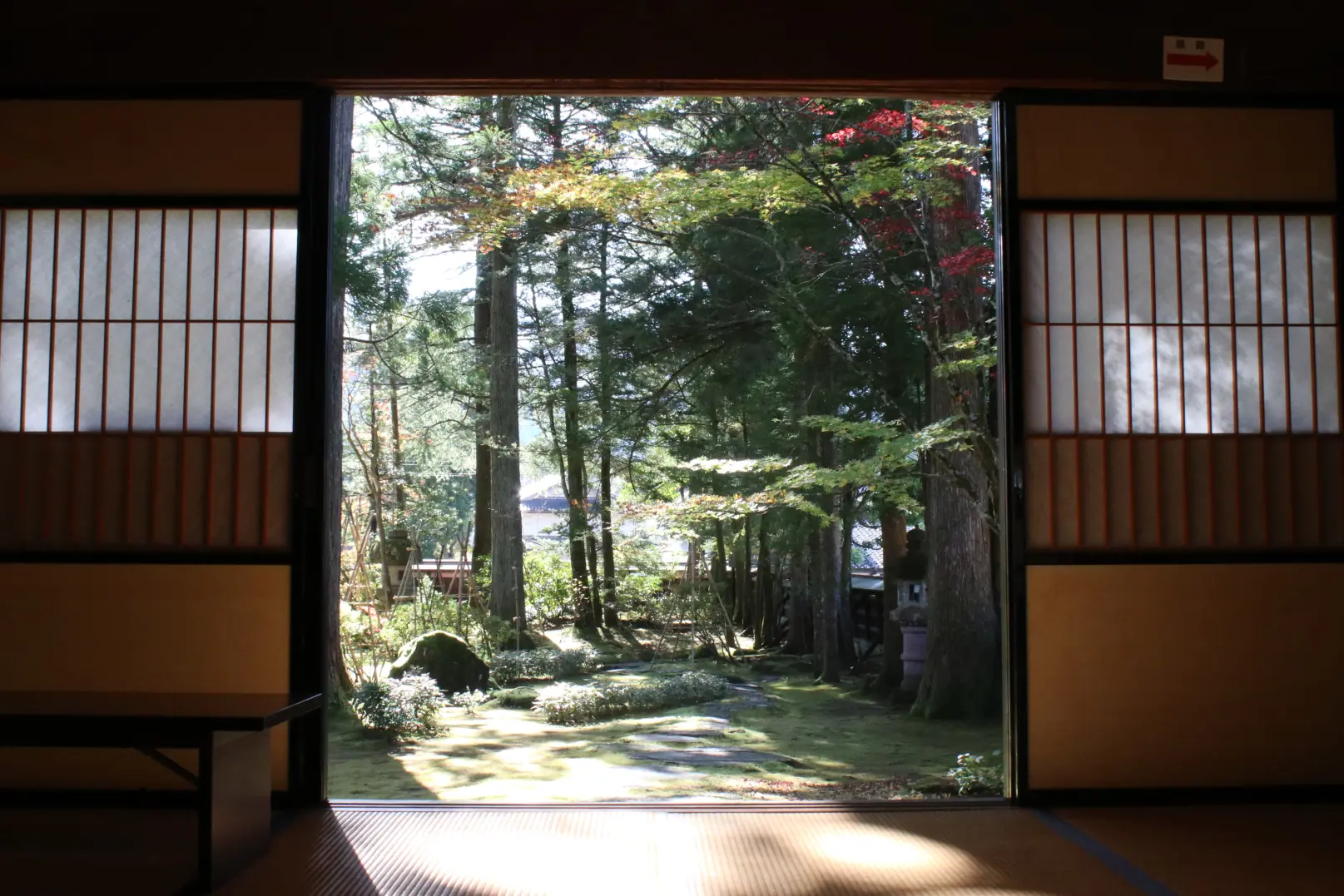 【VISIT富山県】立山の山岳信仰ゆかりの地と称名滝を半日で回る！充実の観光タクシープラン体験レポート-1