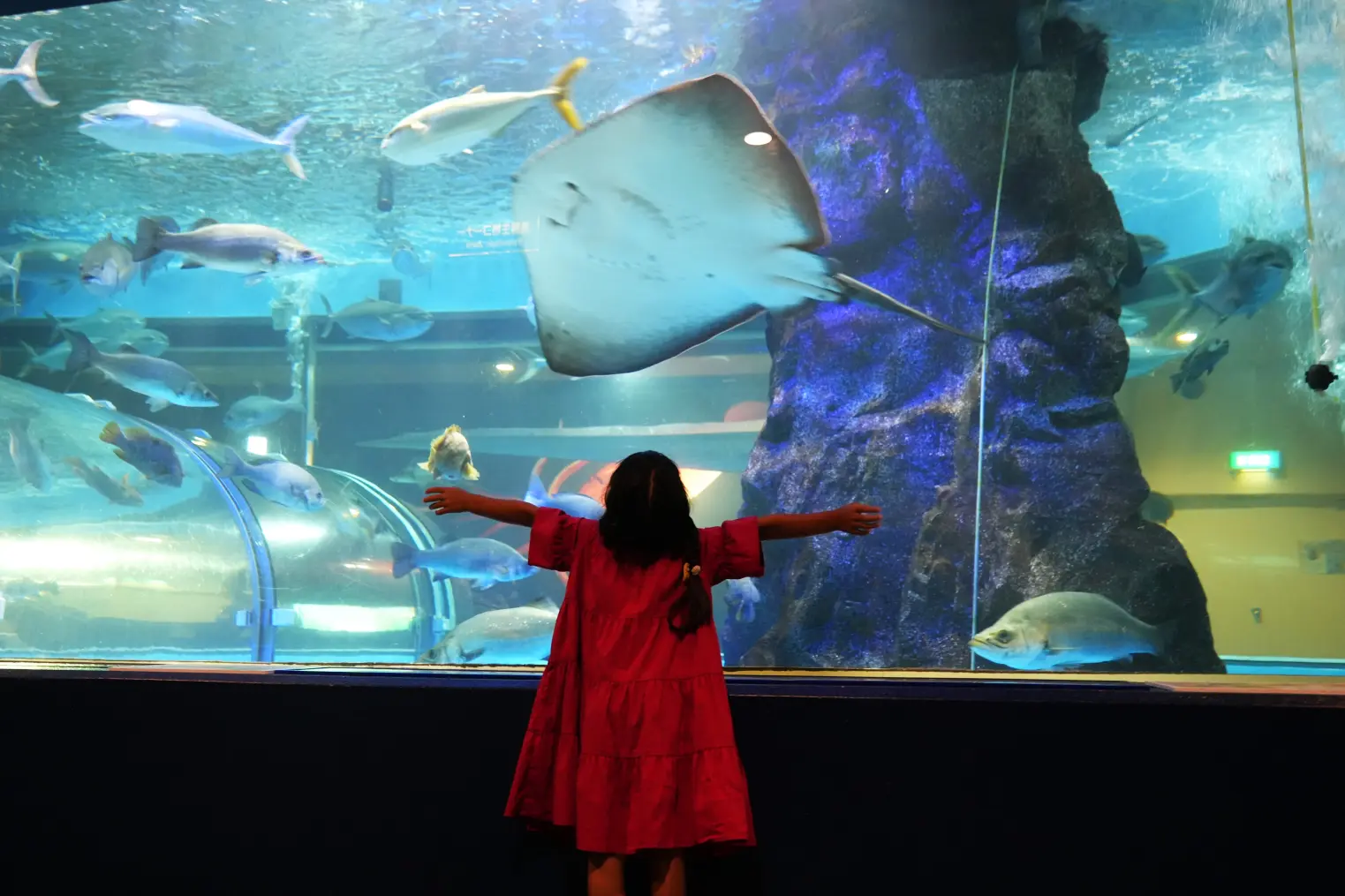 日本最古の水族館「魚津水族館」& ユニークなお土産屋「真珠コーナー」に行ってみた！-1