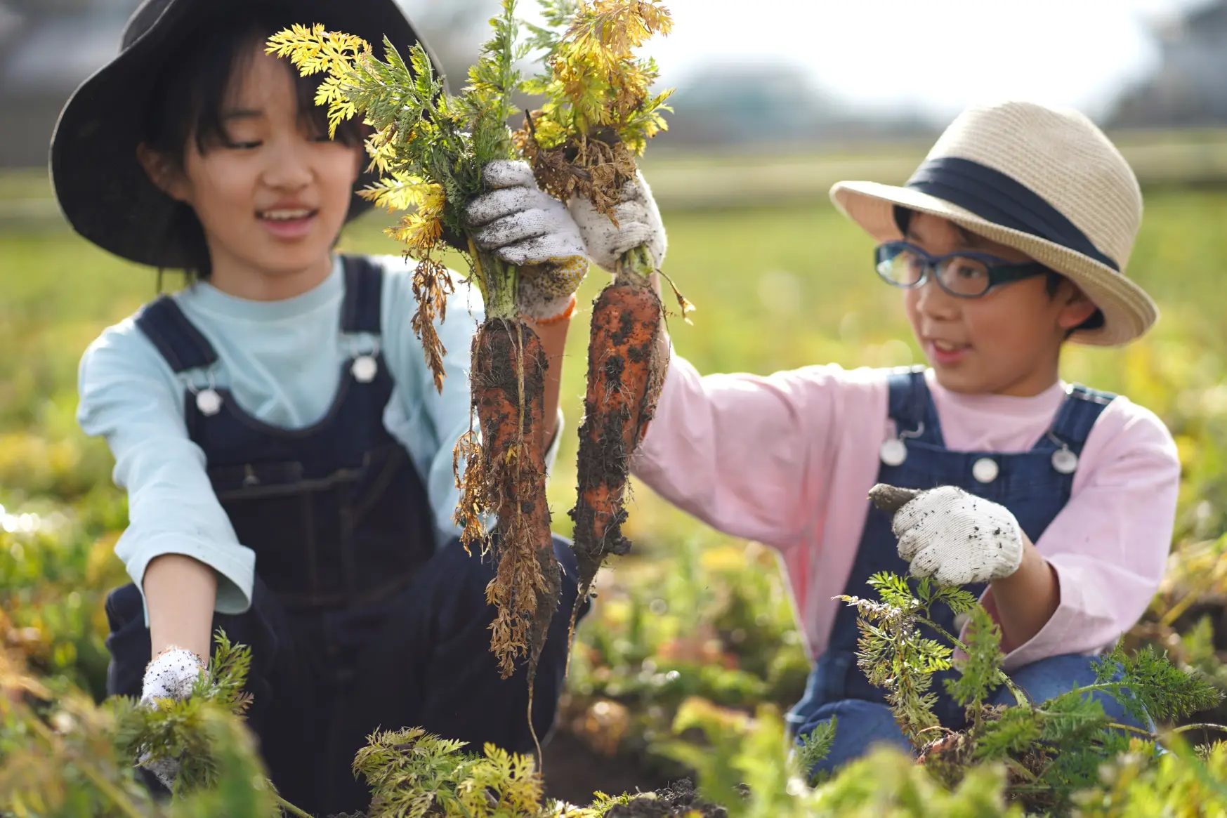 家族で楽しめる「にんじんつめ放題まつり（南砺市高堀）」【毎年3月と11月に開催】-1
