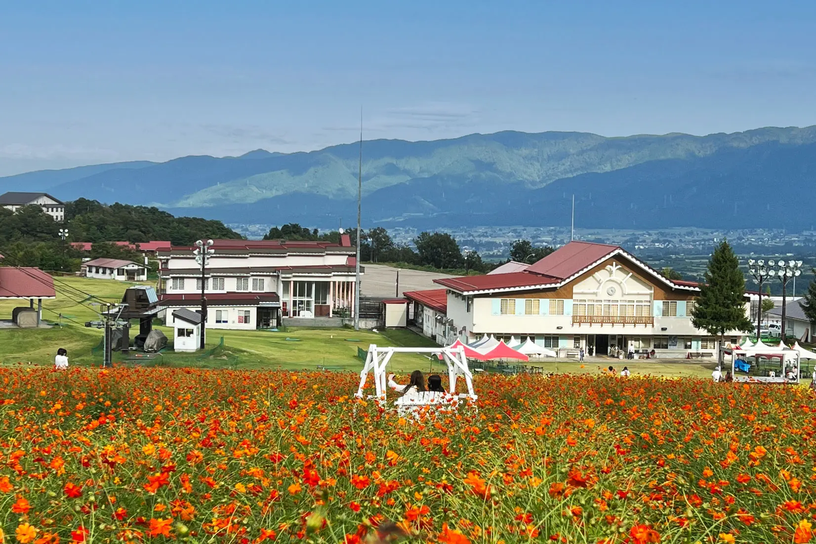 イオックスアローザ「キバナコスモスまつり」秋の富山を彩る絶景！-1