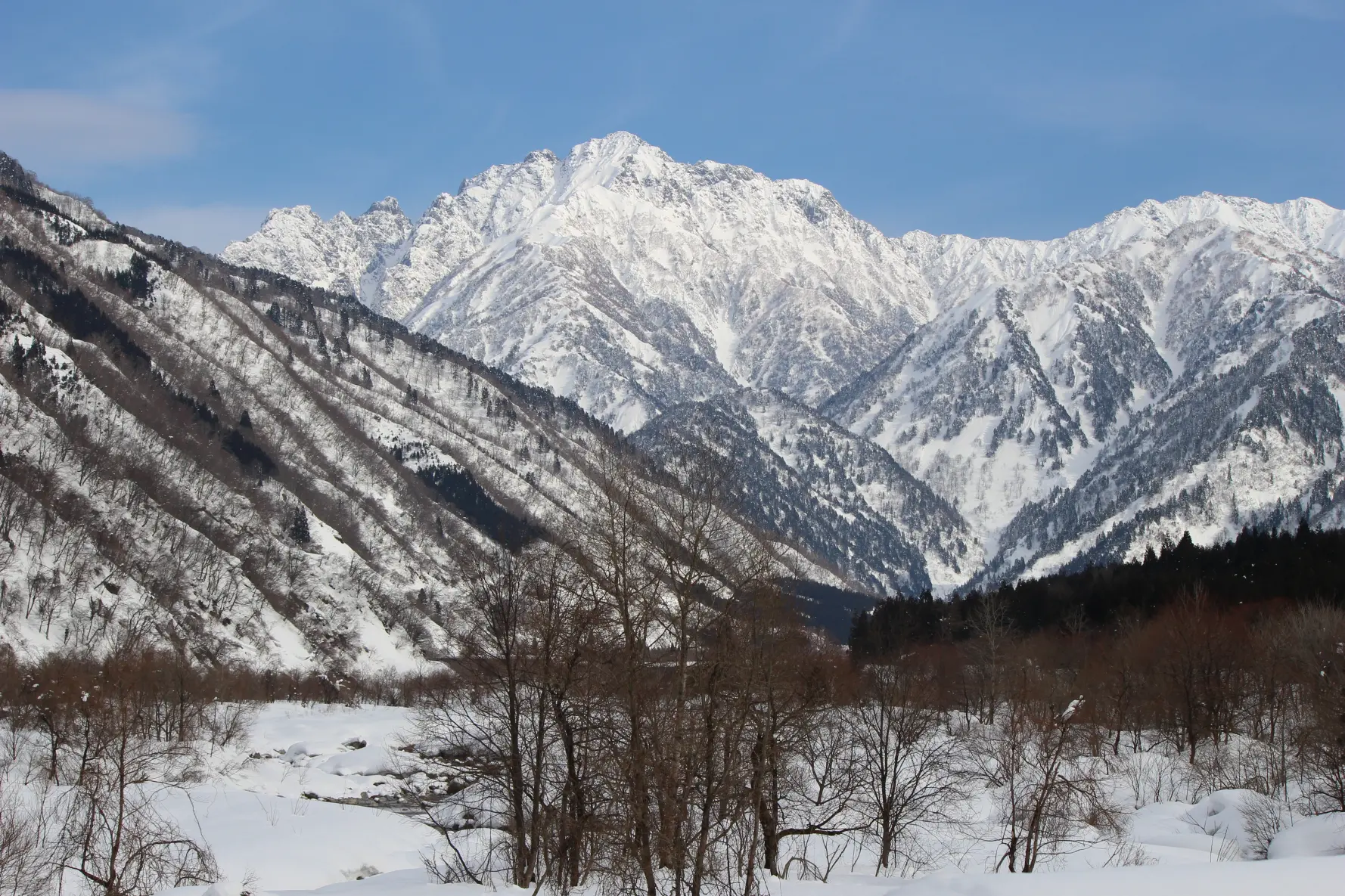 立山連峰を望む穴場絶景スポット4選【伊折橋・薬用植物指導センター・牛岳パノラマ展望台・富山市塩の千本桜】-1