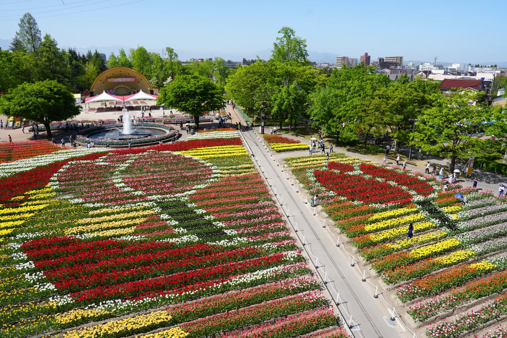 砺波チューリップ公園にて【となみチューリップフェア】を開催！詳細を紹介します！-1