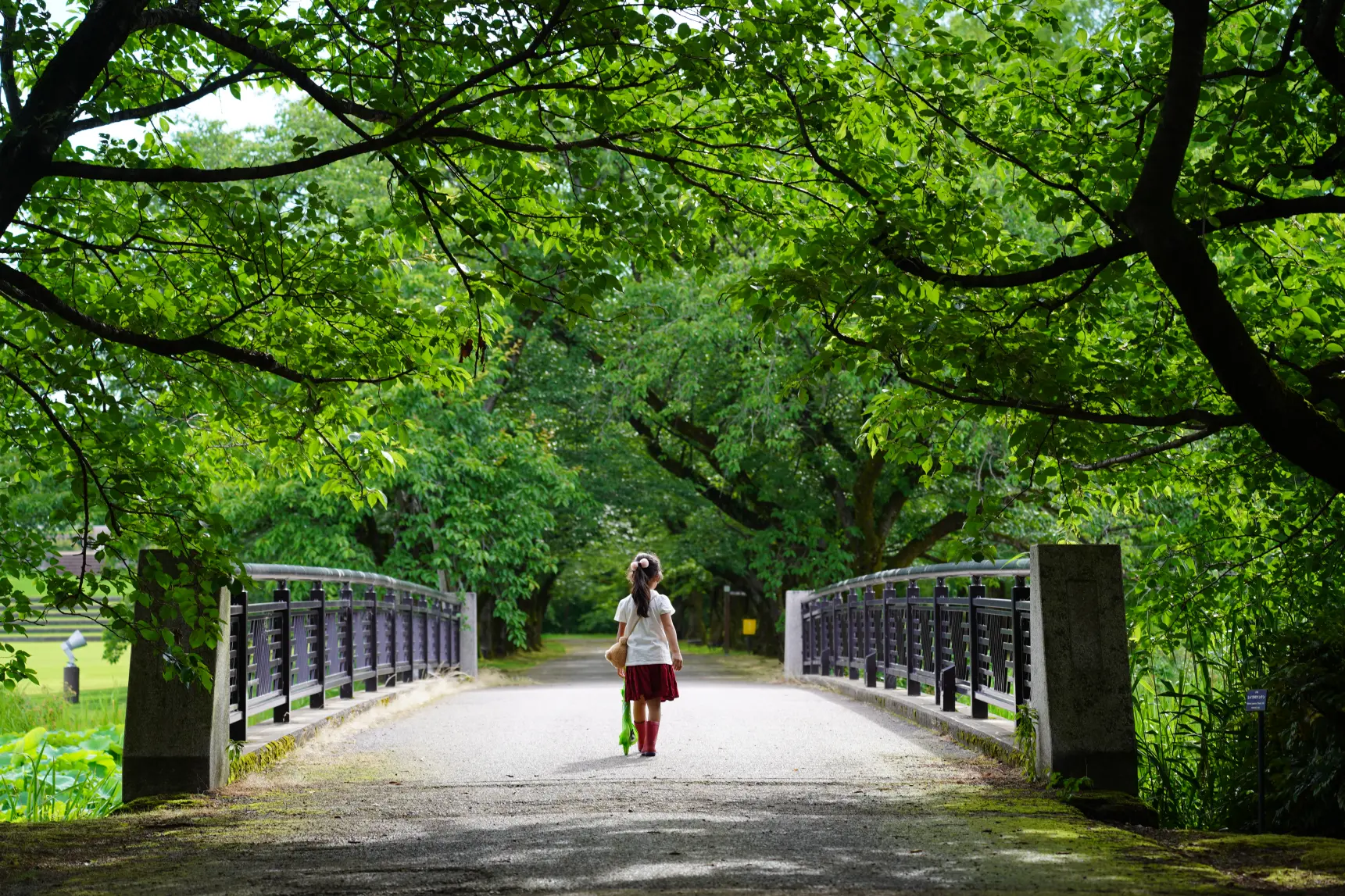 富山市にある「北陸最大級 富山県中央植物園」の魅力に迫る！-1