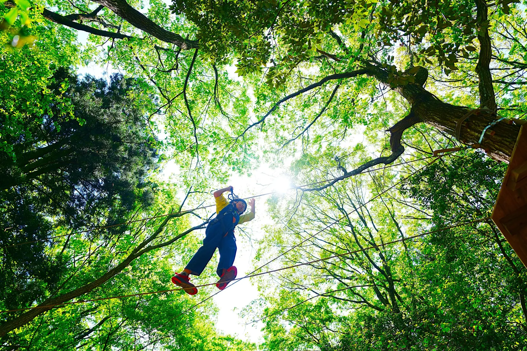 【VISIT富山県】「アドベンチャーガーデン射水」で絶景体験！をしてみた！【太閤山ランドにて】-1