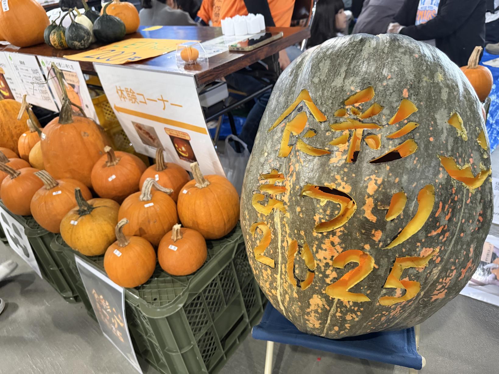 【後日談】雨中の熱戦を制す！「ひみ食彩まつり」1万人が体感した氷見の食の情熱とプロの知恵