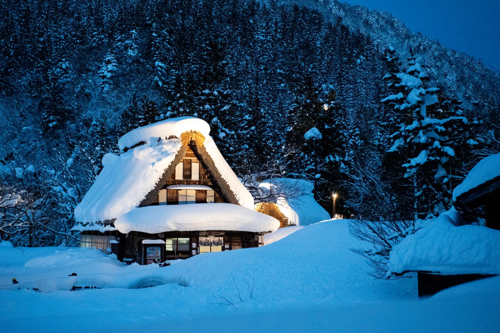 【富山・冬の絶景】この時期だからこそ見られる絶景5選