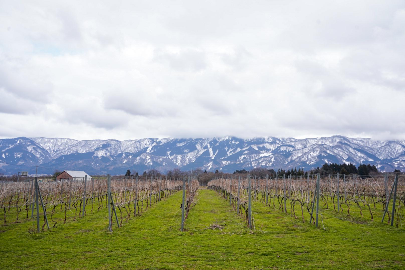 【南砺市】トレボーでカクテル体験！絶景ワイナリーで楽しむ大人な時間