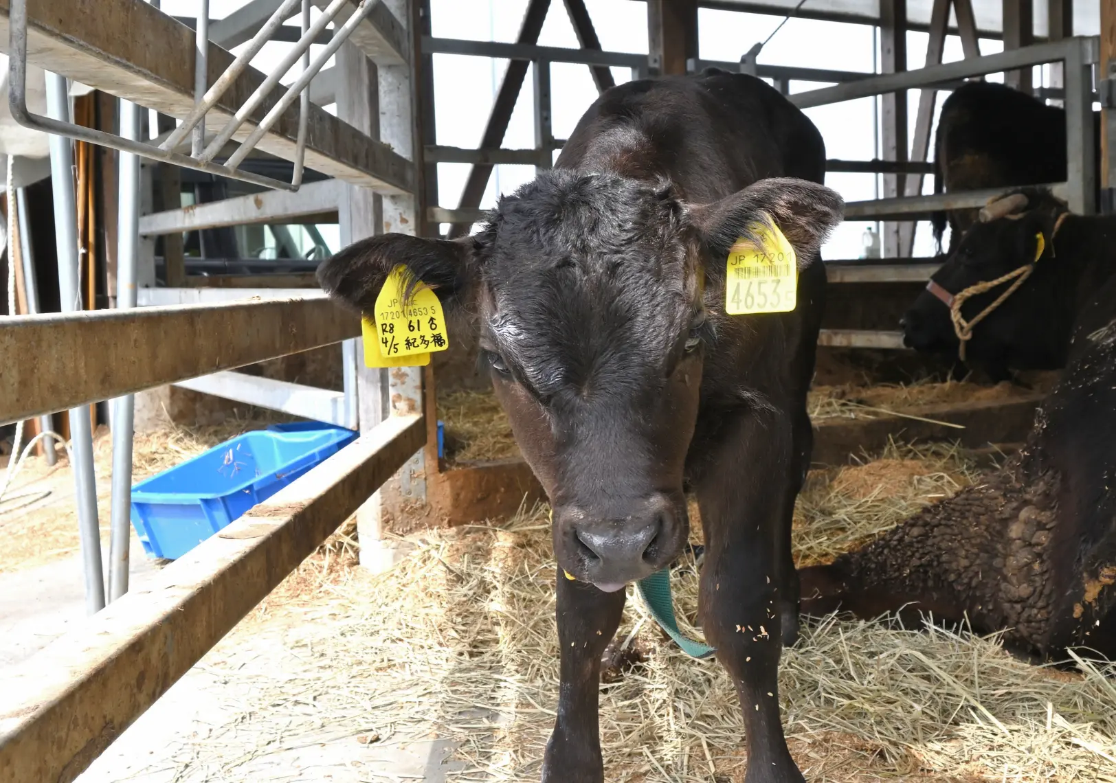 立山町で味わう「クラフトビール」と「肉グルメ」3選！こだわりの