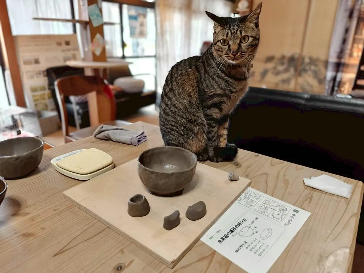 【Playful 空感 ごはんかふぇ】猫たちに癒される古民家カフェで陶芸体験（富山市）-1